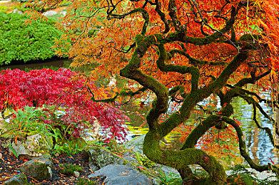 Supercell手游《荒野乱斗》总收入已达20亿美元